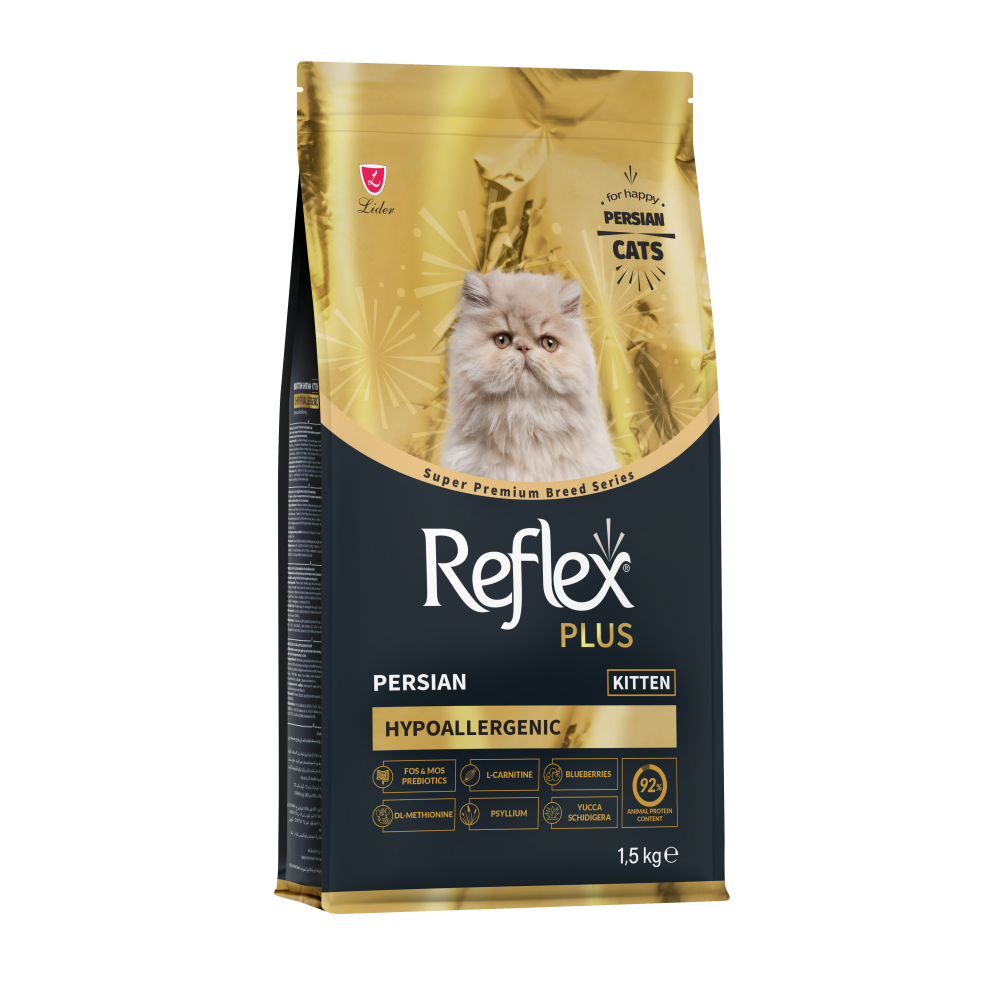 Reflex Plus Persian kitten