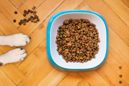 Best dog food brands in Pakistan at Hyd Pets
