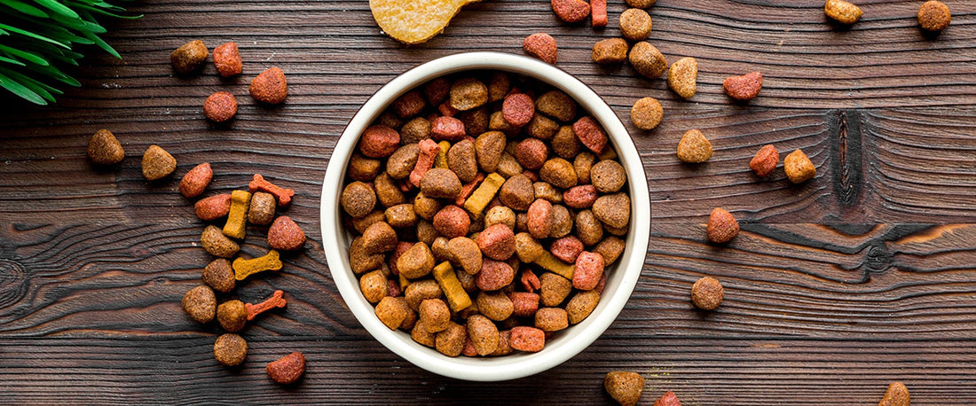 The Ultimate Guide to Choosing the Best Pet Food