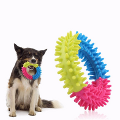 Dog Ring Teether Toy Small - Random Colors