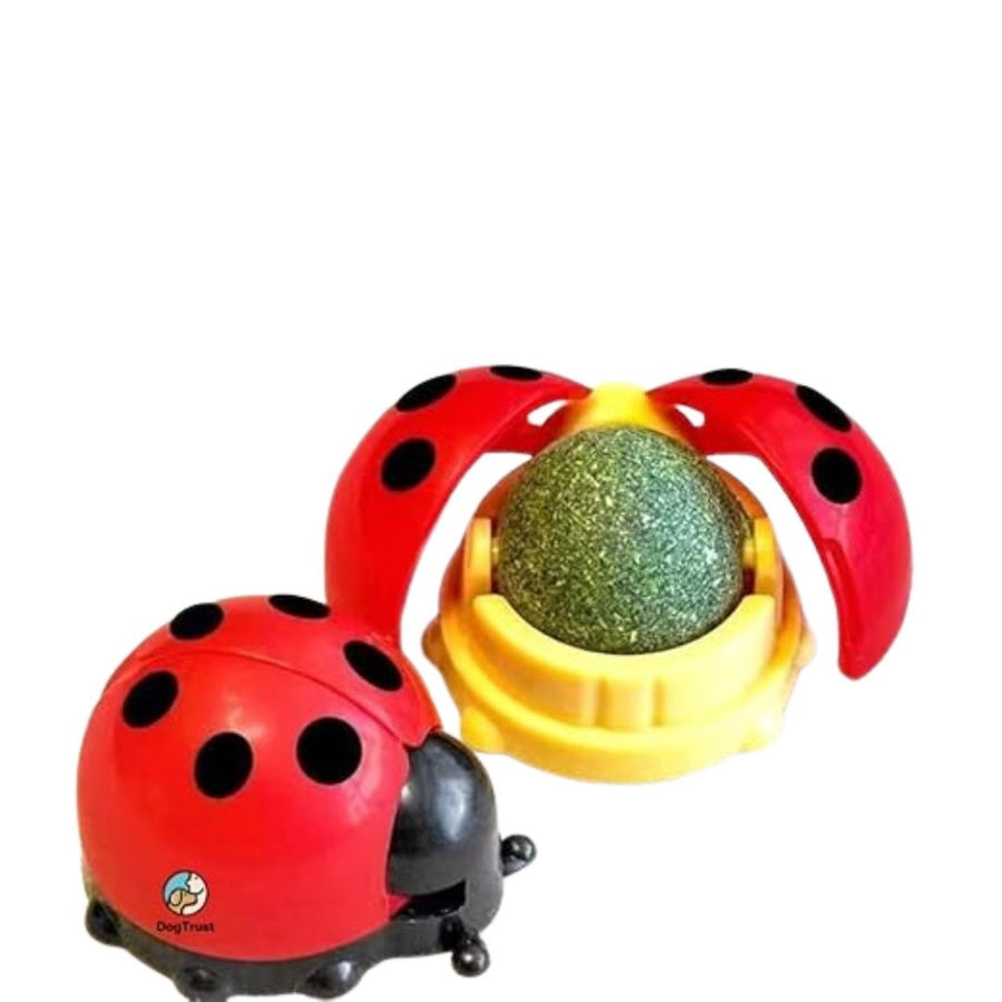 Ladybird Shape Wall Mounted Catnip Toy For Cats & Kittens - Random Colors