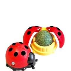 Ladybird Shape Wall Mounted Catnip Toy For Cats & Kittens - Random Colors