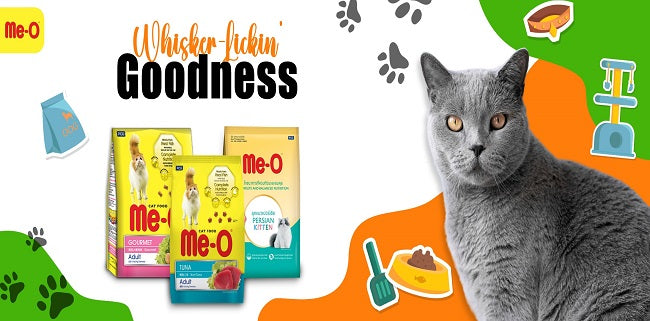 Meo Cat food and treats