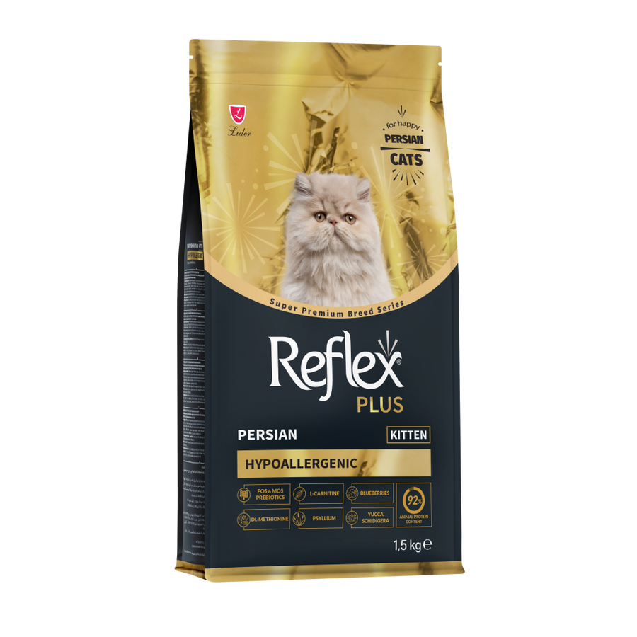 Reflex Plus Persian kitten