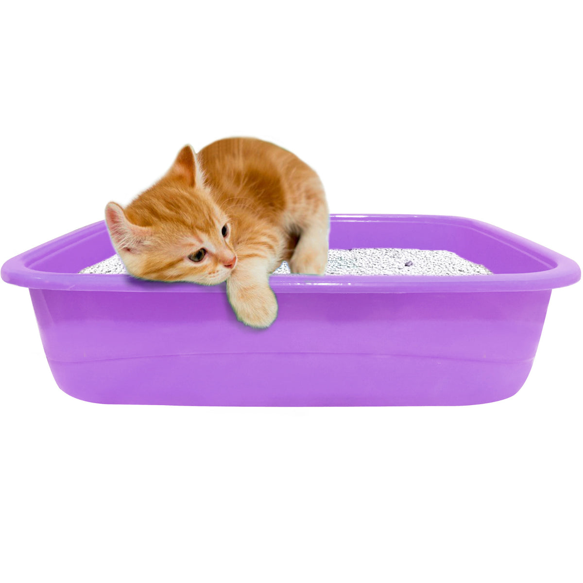 paw comfort kitten litter tray