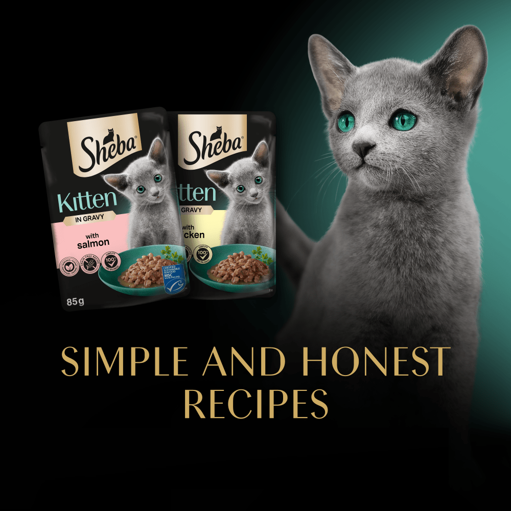 Sheba Mixed Selection Kitten Wet Food In Gravy - Pack Of 40x85G