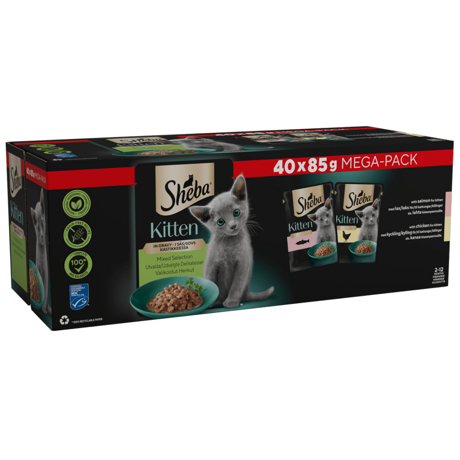 shea kitten wet food
